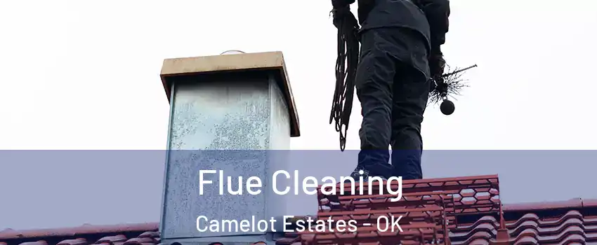 Flue Cleaning Camelot Estates - OK