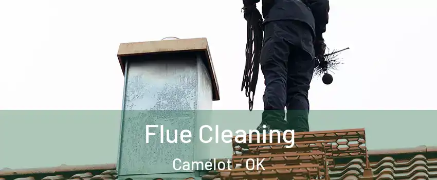 Flue Cleaning Camelot - OK