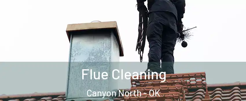 Flue Cleaning Canyon North - OK