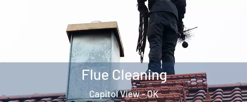 Flue Cleaning Capitol View - OK