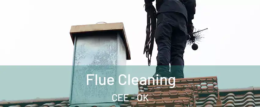 Flue Cleaning CEE - OK