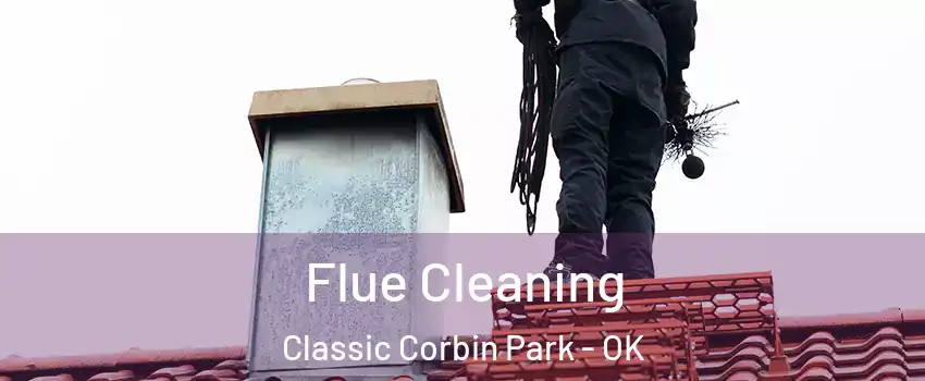 Flue Cleaning Classic Corbin Park - OK