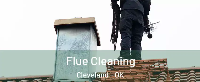 Flue Cleaning Cleveland - OK
