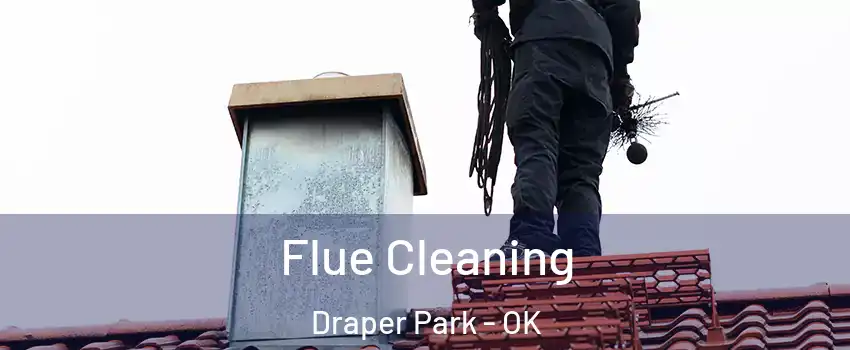 Flue Cleaning Draper Park - OK