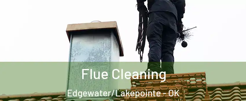 Flue Cleaning Edgewater/Lakepointe - OK