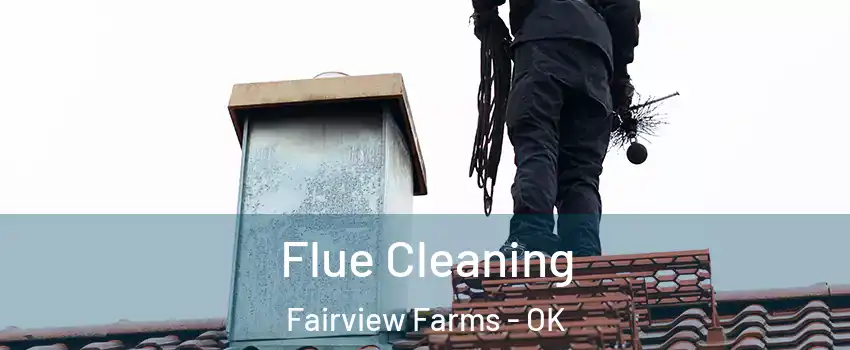 Flue Cleaning Fairview Farms - OK