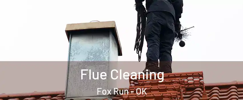 Flue Cleaning Fox Run - OK