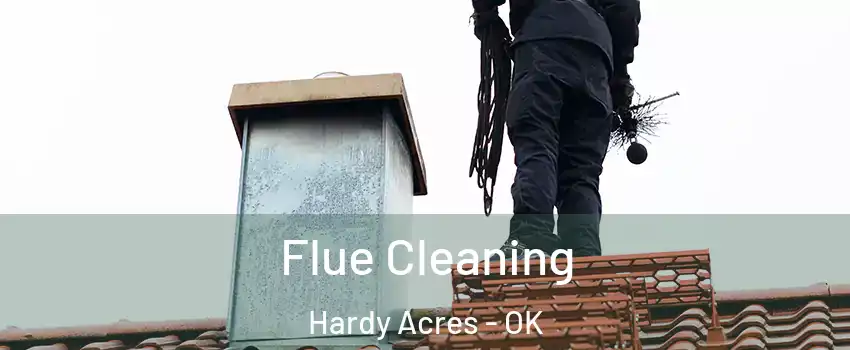 Flue Cleaning Hardy Acres - OK