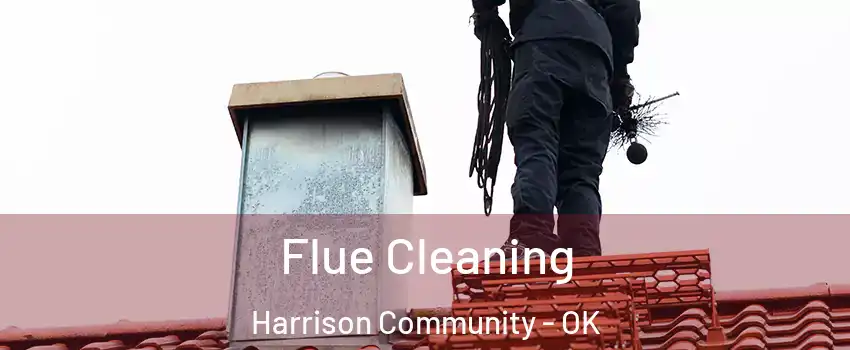 Flue Cleaning Harrison Community - OK
