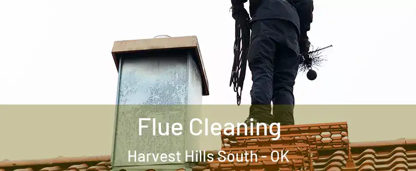 Flue Cleaning Harvest Hills South - OK