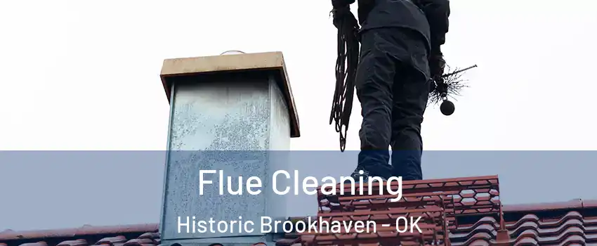 Flue Cleaning Historic Brookhaven - OK