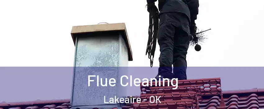 Flue Cleaning Lakeaire - OK
