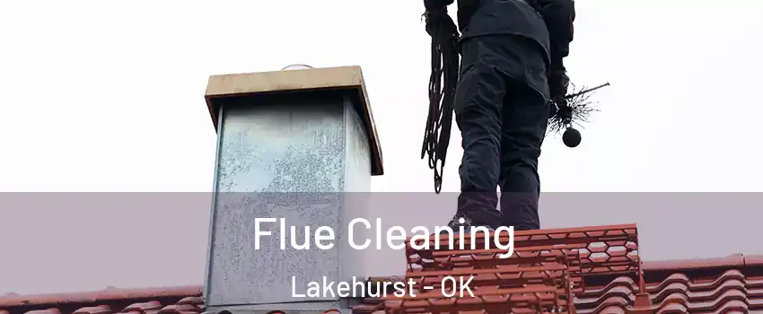 Flue Cleaning Lakehurst - OK