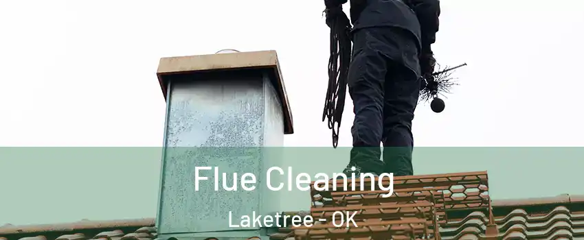 Flue Cleaning Laketree - OK