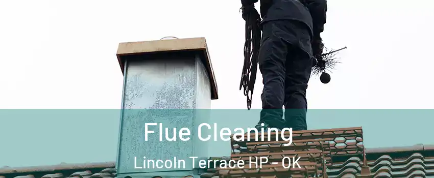 Flue Cleaning Lincoln Terrace HP - OK