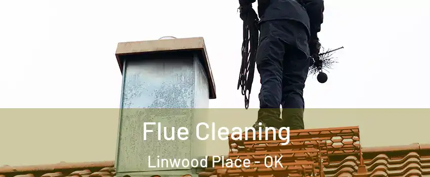 Flue Cleaning Linwood Place - OK