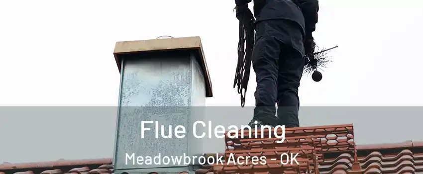 Flue Cleaning Meadowbrook Acres - OK