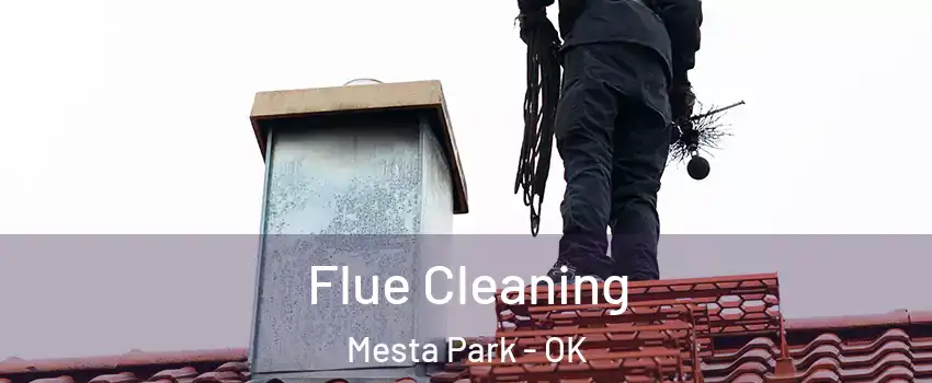 Flue Cleaning Mesta Park - OK