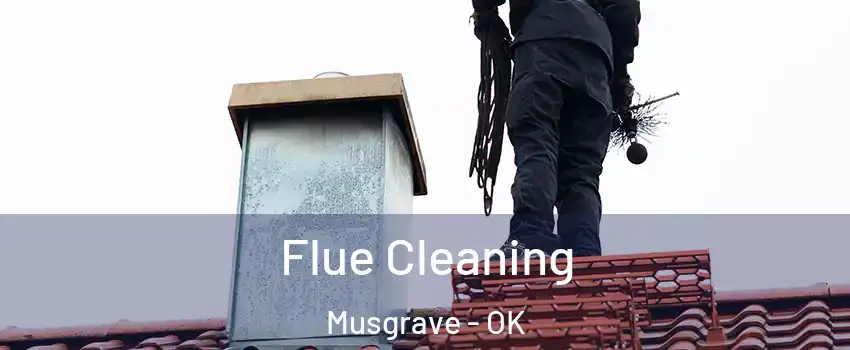 Flue Cleaning Musgrave - OK