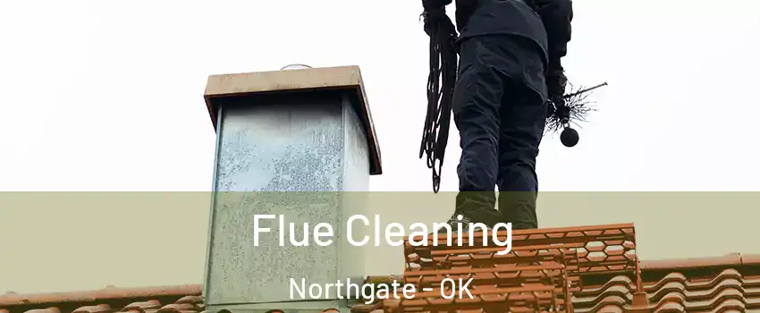 Flue Cleaning Northgate - OK