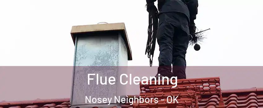 Flue Cleaning Nosey Neighbors - OK