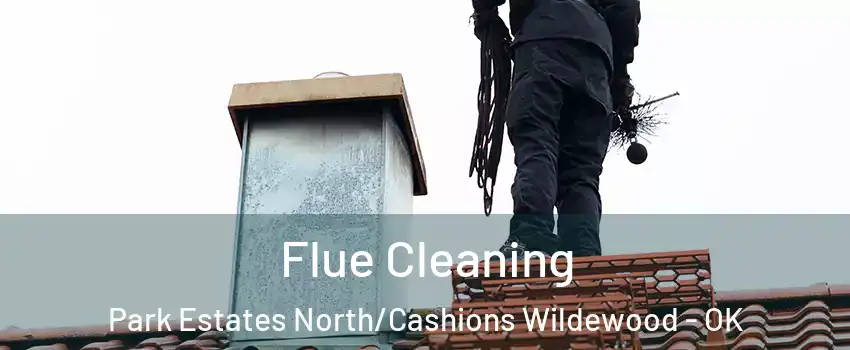 Flue Cleaning Park Estates North/Cashions Wildewood - OK