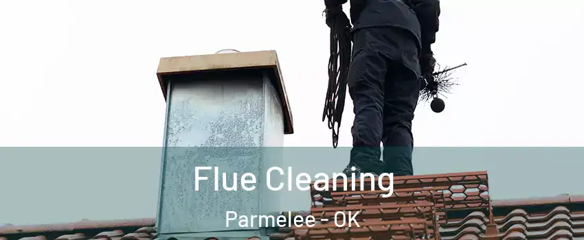 Flue Cleaning Parmelee - OK