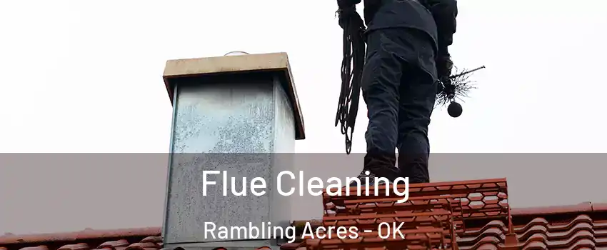 Flue Cleaning Rambling Acres - OK