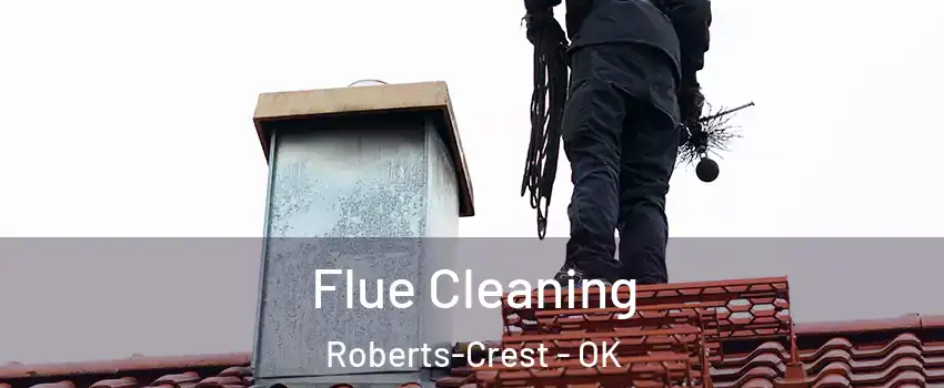 Flue Cleaning Roberts-Crest - OK