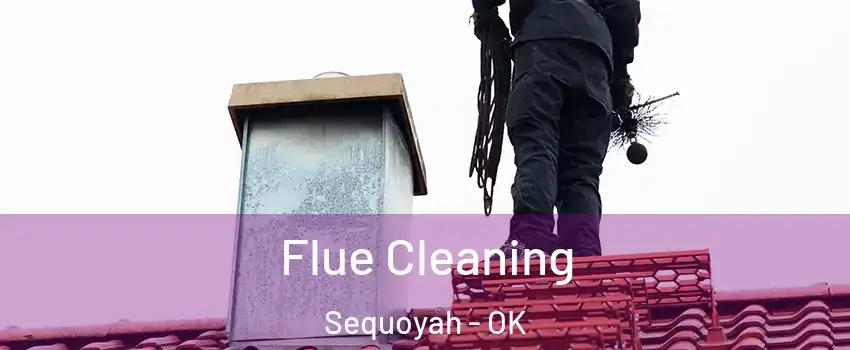 Flue Cleaning Sequoyah - OK