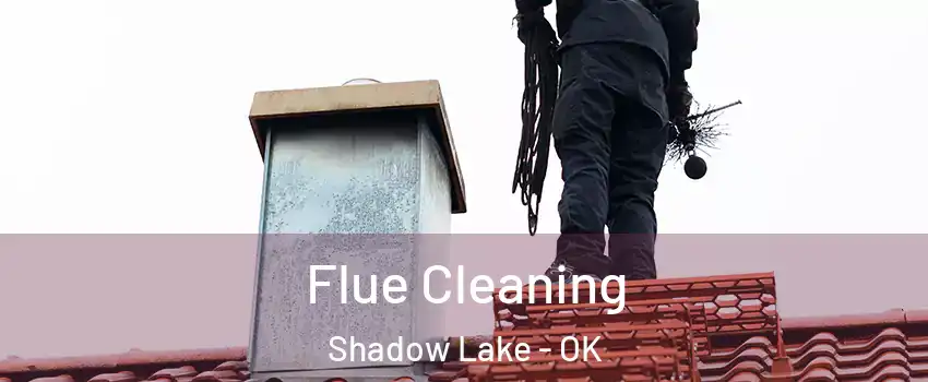 Flue Cleaning Shadow Lake - OK