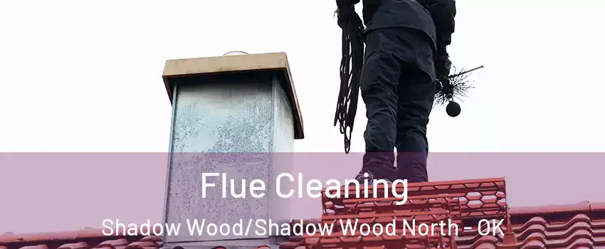 Flue Cleaning Shadow Wood/Shadow Wood North - OK