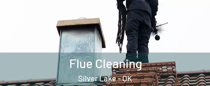 Flue Cleaning Silver Lake - OK