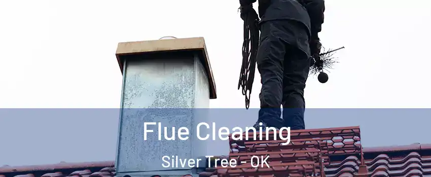 Flue Cleaning Silver Tree - OK