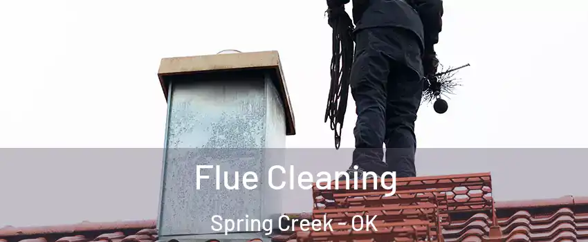 Flue Cleaning Spring Creek - OK