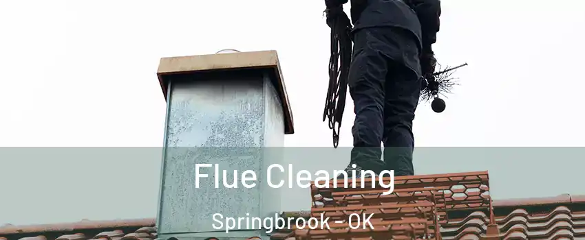 Flue Cleaning Springbrook - OK