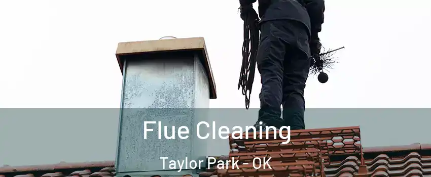 Flue Cleaning Taylor Park - OK