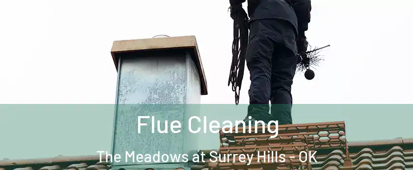 Flue Cleaning The Meadows at Surrey Hills - OK