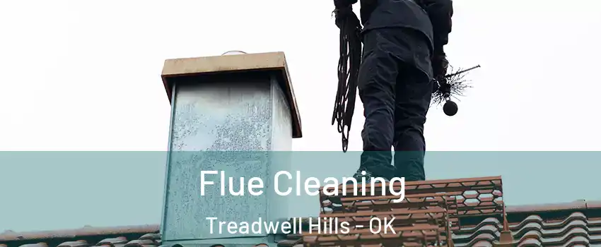 Flue Cleaning Treadwell Hills - OK