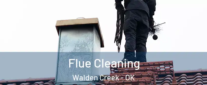 Flue Cleaning Walden Creek - OK