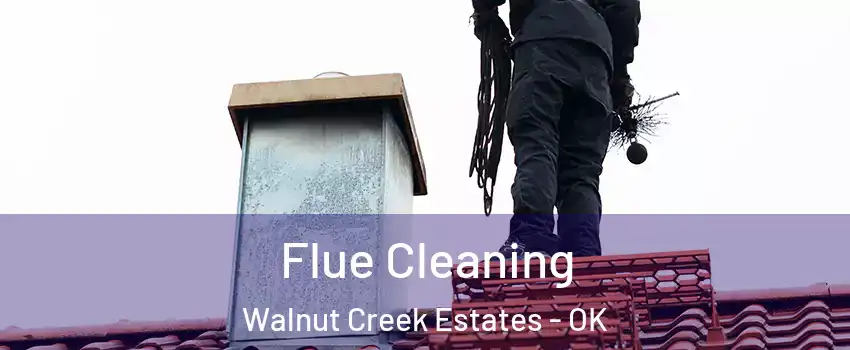 Flue Cleaning Walnut Creek Estates - OK