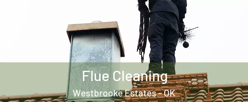 Flue Cleaning Westbrooke Estates - OK