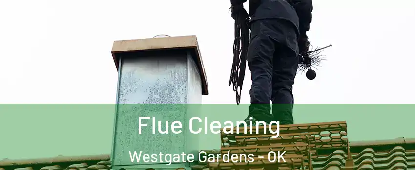 Flue Cleaning Westgate Gardens - OK