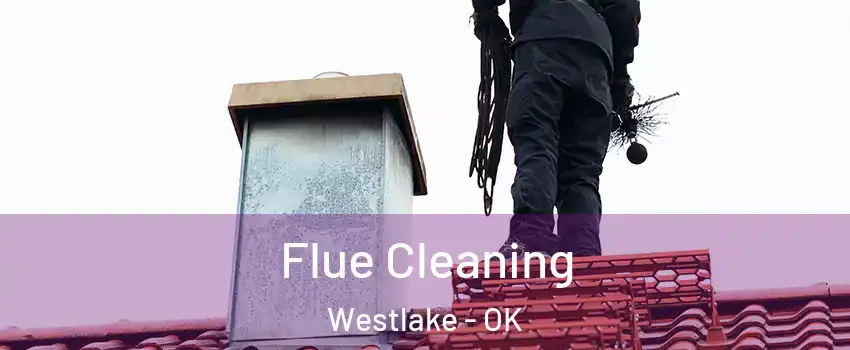 Flue Cleaning Westlake - OK