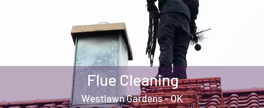 Flue Cleaning Westlawn Gardens - OK