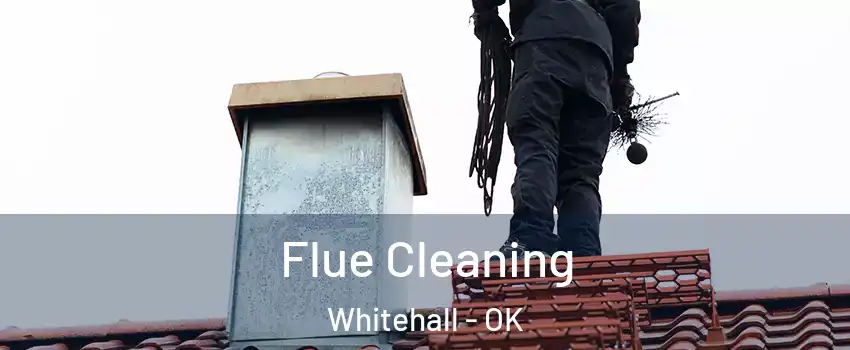 Flue Cleaning Whitehall - OK