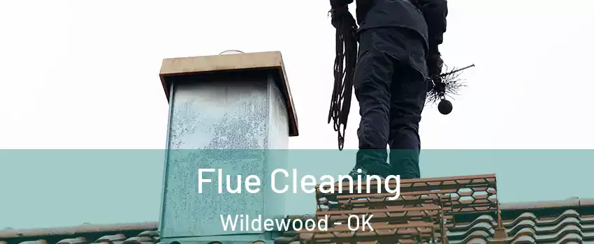 Flue Cleaning Wildewood - OK