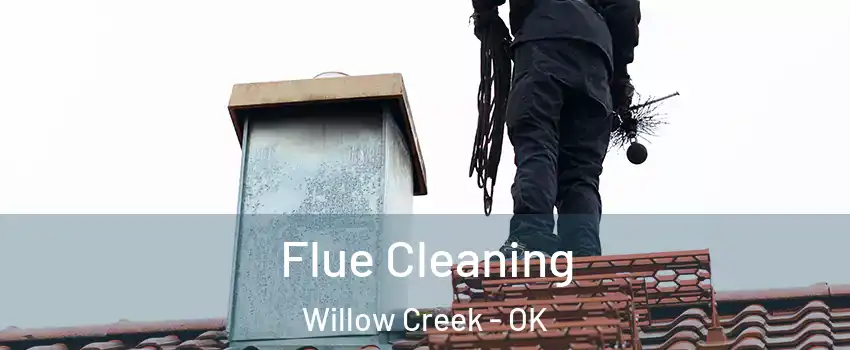 Flue Cleaning Willow Creek - OK