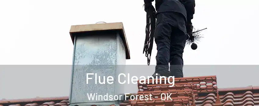Flue Cleaning Windsor Forest - OK