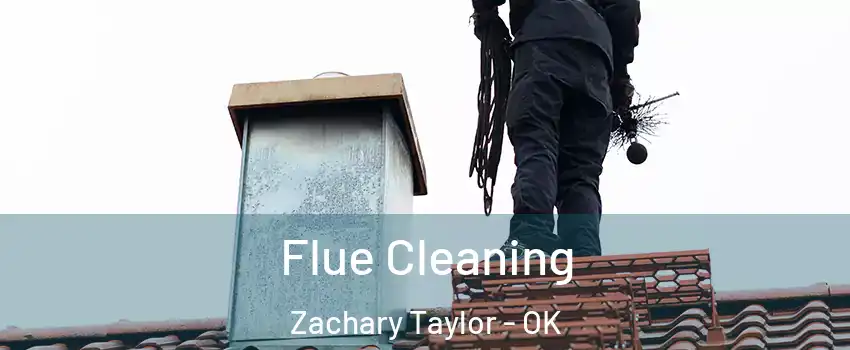 Flue Cleaning Zachary Taylor - OK